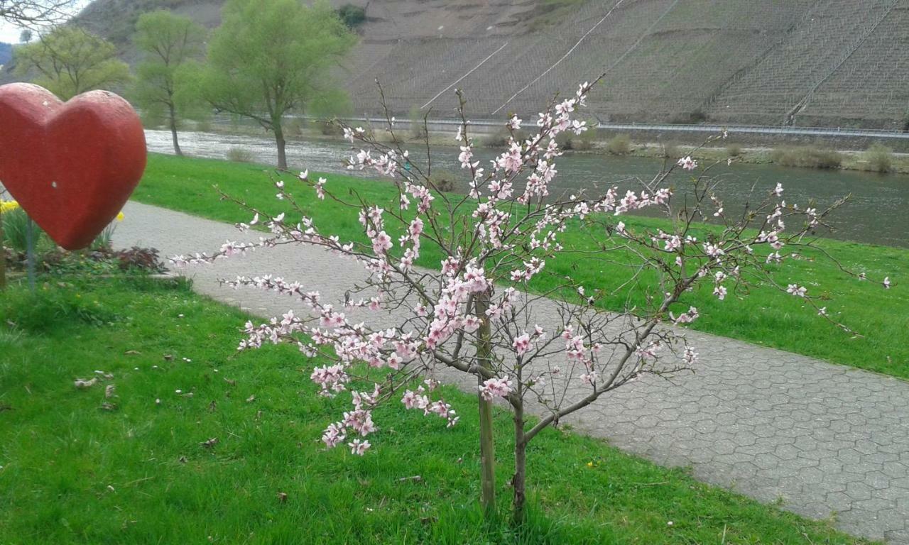 Bed & Breakfast Zenz - Gaestezimmer Im Winzerhaus *